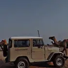 لاندكروزر 84 جيب ربع 84