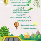 تعليم السواقه ( نساء ) بيشه