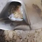 مزاد على طياس كورولا