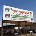 خرفان نعيمي بلدي كاش واقصاد