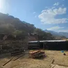 عزبة غنم بحالة جيدة
