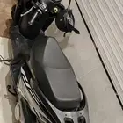 دباب العميد 125 cc 2025