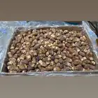 تمر صقعي للبيع