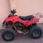 دباب