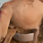 قعدان صوماليه مستورده