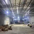 خيل عربي معسوف شرط