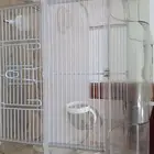 قفص هامستر للبيع كبير