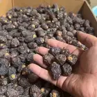 تمر رزيز الاحساء