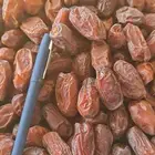 تمر خضري للبيع