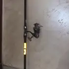 سناره لاصيد الاسماك