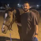حصص تعليم ركوب الخيل