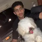 كلب زينه للبيع