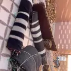 بيت شعر للبيع