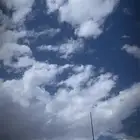 مطلوب شقه للايجار