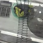 مورد سعودي من الصين