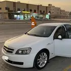 كابرس 2014 بدي بلد