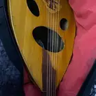 عود عراقي للبيع