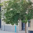 مطلوب 5 غرف اجار شهري باقدو والملك فهد