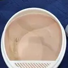 مستلزمات قطط حيوانات اليفه