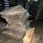 حطب سمر أفريقي