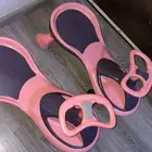 سكوترات