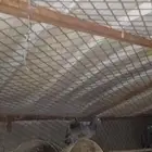 الحمام طيب وزين الجوزاء 25