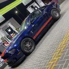 Shelby 2010