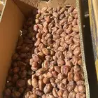 تمور الاحساء للطلب خاص