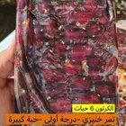 الدمام ضاحية الملك فهد و البحرين