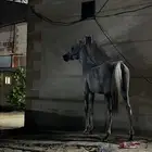 مهر الأم واهو