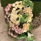 ابي منسق ورد مبدع