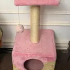 بيت قطو قطة مع خماشة