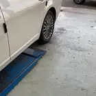 جنوط افلون