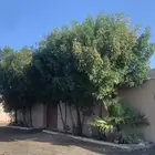 لايجار استراحه