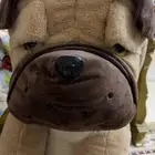 دبدوب السيتي ووك