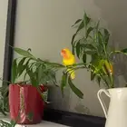 روز مفقود اليوم