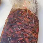 خلاص الخرج تعيئه يدوي