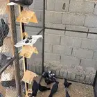 طبات قطايف اللبيع زرق سود مخبيز درع طيور طيبه