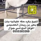 بكره عليانيه