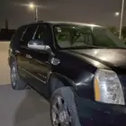 اسكلد للبيع