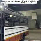 صندوق دينه 5 متر للبيع