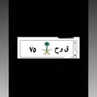 لوحة مميزة 75