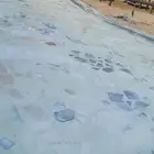 جلي بلاط خفرالباطن خالدية