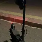 اسكوتر للبيع