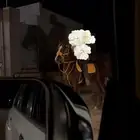 طقم سرج اصفر لركوب لباده و لجام وصدريه جديدات