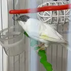 القريات حي التسهيلات