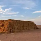 بلك جوندير   تبن   وانتم بكرامه