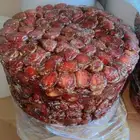 كعيمر العيص حبه شرط