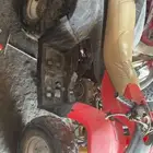 دباب تايوان 110 كبير للبيع