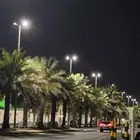 مطلوب مكانلعائلة مؤقت